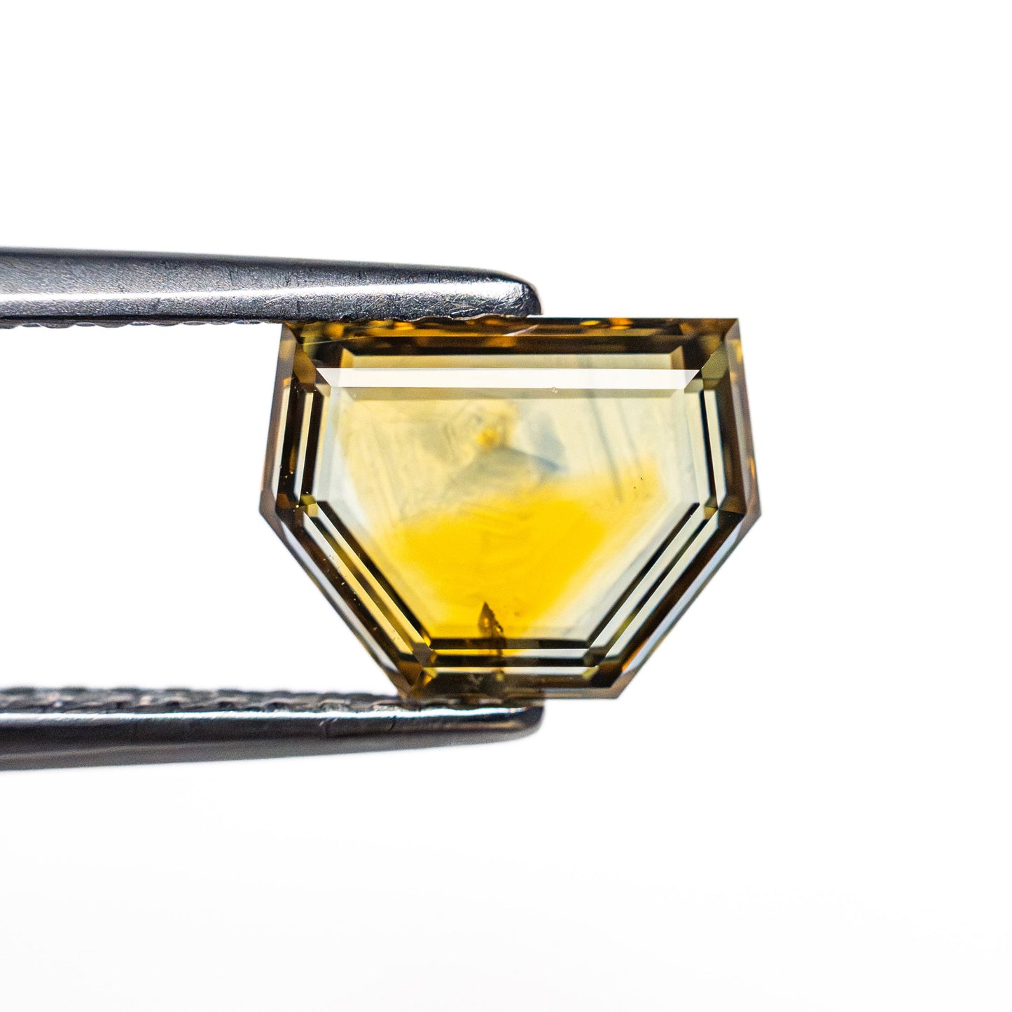 1.64ct 6.23x8.17x2.47mm Shield Portrait Cut Sapphire 23469-41