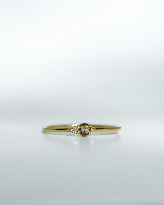 Salt & Pepper Diamond Arktos Ring in 14k yellow gold