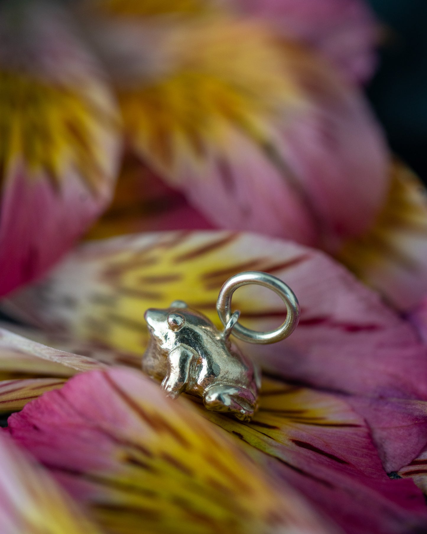 silver frog charm