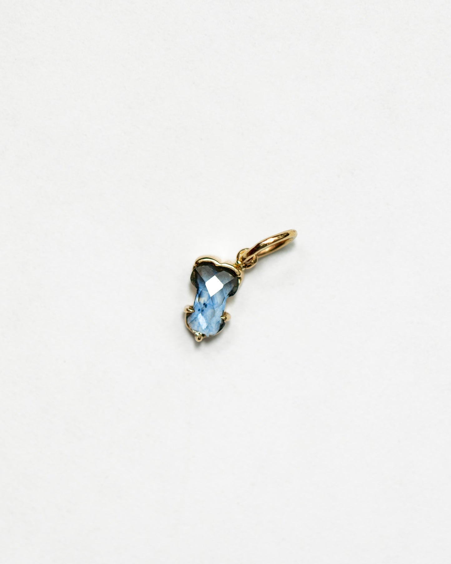 Blue sapphire Hermes Charm