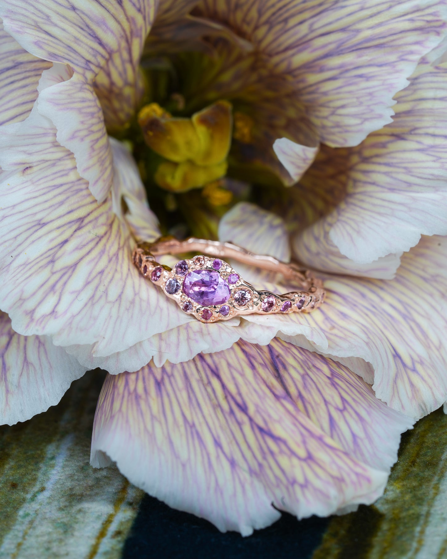 Pink Sapphire Fairy Ring nestled in a flower