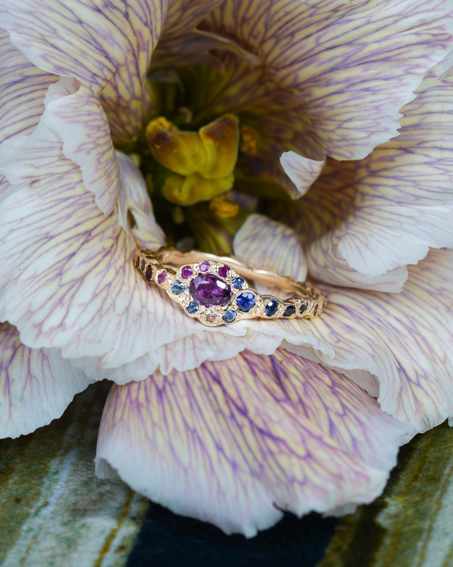 Ruby Fairy Ring nestled in a flower