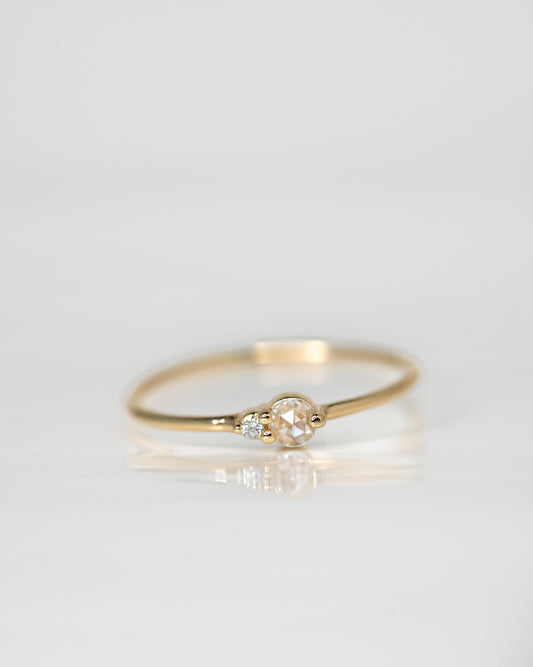 White Diamond Arktos Ring set in 14k yellow gold